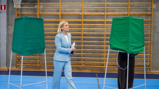 Suecia, ante el suspenso de unas elecciones en las que la ultraderecha aspira a entrar al gobierno