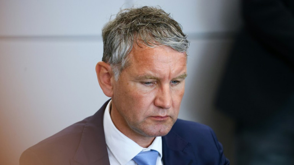 Prozess gegen H&ouml;cke wegen NS-Parole wird fortgesetzt - Urteil m&ouml;glich