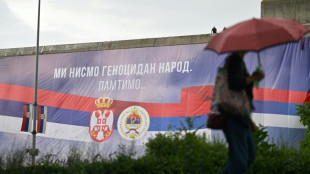 UNO f&uuml;hrt Gedenktag zum Massaker von Srebrenica 1995 ein&nbsp;