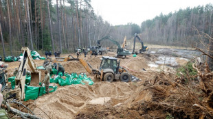 Militärfahrzeug von vermissten US-Soldaten in Litauen geborgen