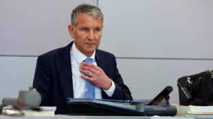 Vorwurf des Verwendens von NS-Parole: Weiterer Prozess gegen AfD-Politiker H&ouml;cke