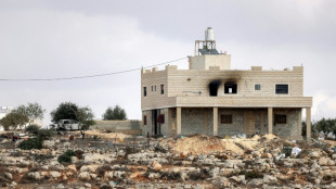 Unos colonos israel&iacute;es atacan una aldea en Cisjordania e incendian dos viviendas