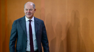 Scholz skeptisch zu m&ouml;glichem AfD-Verbotsantrag