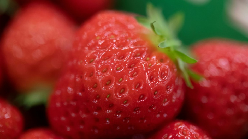 Erzeugerpreise f&uuml;r landwirtschaftliche Produkte auch im Mai stark gestiegen