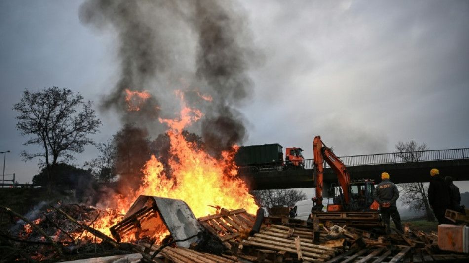 Col&egrave;re agricole: la mobilisation diminue mais le Sud-Ouest pers&eacute;v&egrave;re