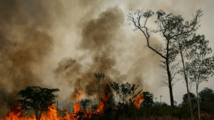 El impacto del fen&oacute;meno El Ni&ntilde;o esta semana en el mundo