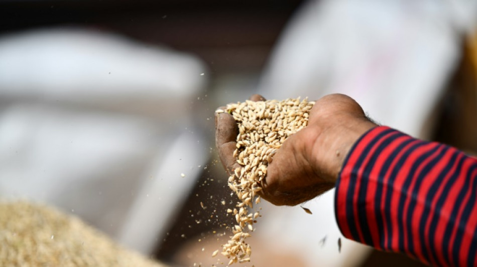 UN-Ern&auml;hrungsorganisation: Ukraine-Krieg versch&auml;rft weltweite Ern&auml;hrungskrisen