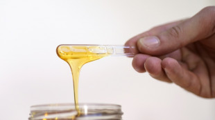 Potenzhonig: Rentnerin mit 35 Kilogramm Schmuggelgut an Flughafen Köln erwischt