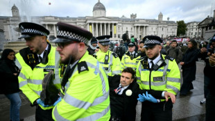 Palestine Action inicia demanda judicial para anular su prohibici&oacute;n en Reino Unido