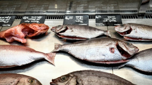R&eacute;chauffement: la biomasse de poissons amput&eacute;e d'un quart d'ici 2100, selon l'Ifremer