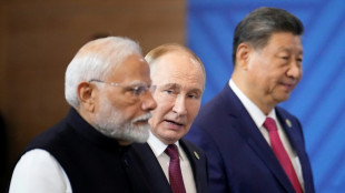 Brics-Gipfel in Russland: Putin begr&uuml;&szlig;t entstehende "multipolare Weltordnung"