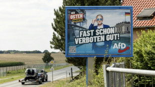 AfD kurz vor Landtagswahl in Th&uuml;ringen laut neuer Umfrage weiter deutlich vorn