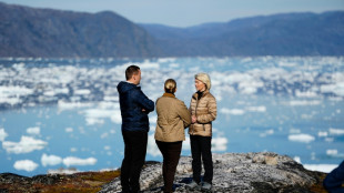 EU chief announces 200-mn-euro investment package for Greenland