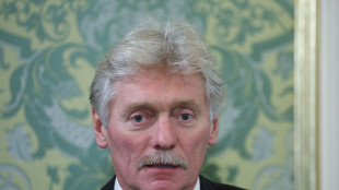 Cremlino, 'da Putin molta comprensione verso alcune proposte Usa su de-escalation'