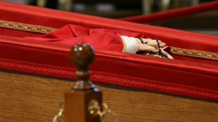 Mais de 50.000 fi&eacute;is visitam o vel&oacute;rio do papa Francisco