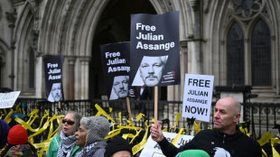 Verfahren um Assange-Auslieferung beginnt ohne Wikileaks-Gr&uuml;nder