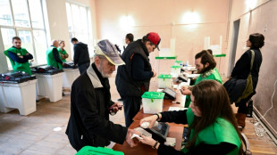 Pr&auml;sidentin: Bei Wahl in Georgien "zutiefst beunruhigende Vorf&auml;lle von Gewalt" 