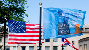 Usa, 'Nato non può essere alleanza in perpetua espansione'