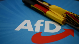 AfD setzt Parteitag in Essen fort - Debatte um Generalsekret&auml;rs-Posten
