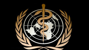 WHO ruft nach Erdbeben in Myanmar höchste Notfall-Stufe aus