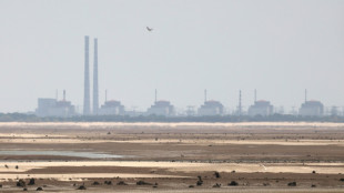 Feuer an K&uuml;hlturm von Atomkraftwerk Saporischschja - IAEA: Keine Auswirkungen gemeldet