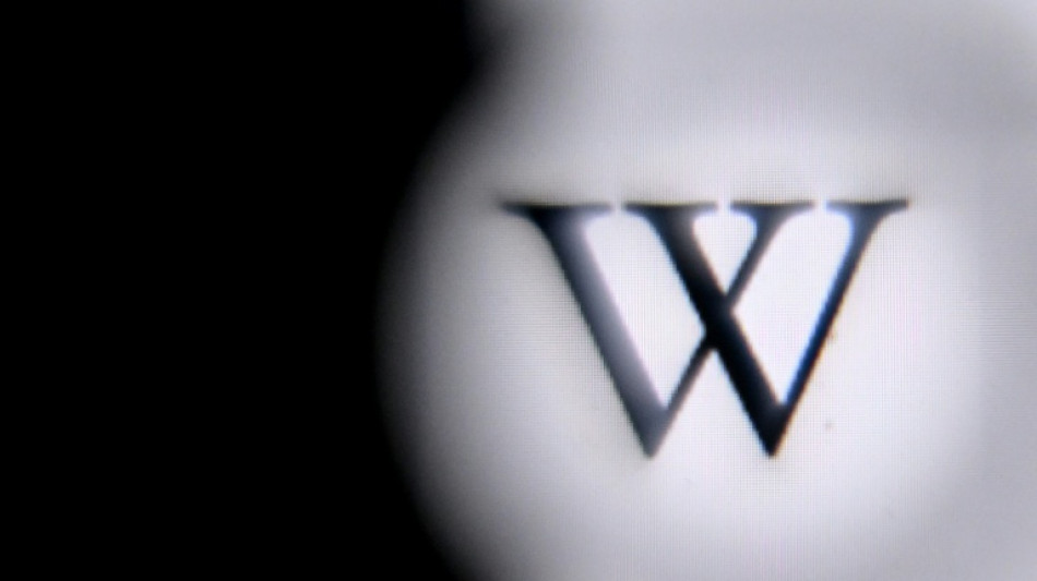 "Grokipedia": Musk bringt Wikipedia-Alternative heraus