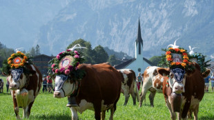 Tiroler Bauern w&uuml;tend &uuml;ber Hafermilch trinkenden Krampus