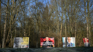Wahl-O-Mat für Bundestagswahl wird freigeschaltet