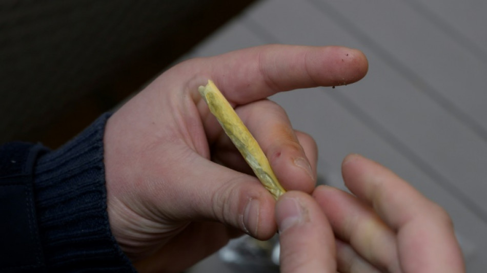 &Auml;rztekammer warnt vor geplanter Legalisierung von Cannabis
