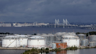 'Raid ucraini hanno bloccato il 40% dell'export di petrolio russo'