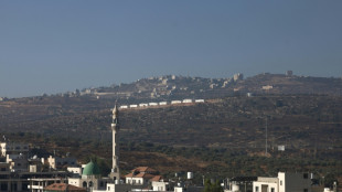 UK, France, Canada to ban imports from Israeli settlements