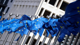 Mehrheit der Deutschen optimistisch f&uuml;r Zukunft der EU - Pessimismus nimmt aber zu