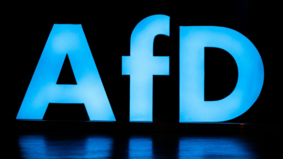 Zwei Niederlagen f&uuml;r AfD vor bayerischem Verfassungsgerichtshof