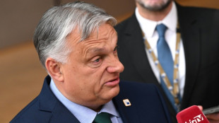 Orban &auml;u&szlig;ert sich optimistisch nach Sieg von Rechtspopulisten bei erster Wahlrunde in Frankreich