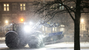 Wintersturm "Elli" sorgt f&uuml;r Chaos: Bahnverkehr im Norden schwer gest&ouml;rt 