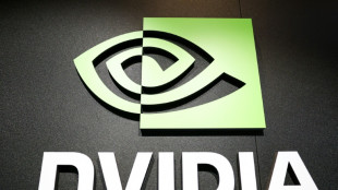 Ações da Nvidia caem após relatos de possível aliança entre Google e Meta sobre chips