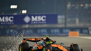 F1/GP de Bahreïn: McLaren affiche son aisance aux deuxièmes essais libres