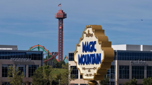 California roller coaster shut after brain damage claims
