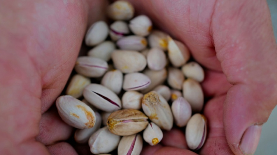 De vi&ntilde;edos a pistacheros: una transici&oacute;n obligada en Francia por el calor y el menor consumo de vino