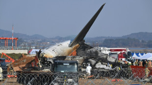 Investigadores de avi&oacute;n estrellado en Corea del Sur encuentran plumas en los motores, seg&uacute;n medios