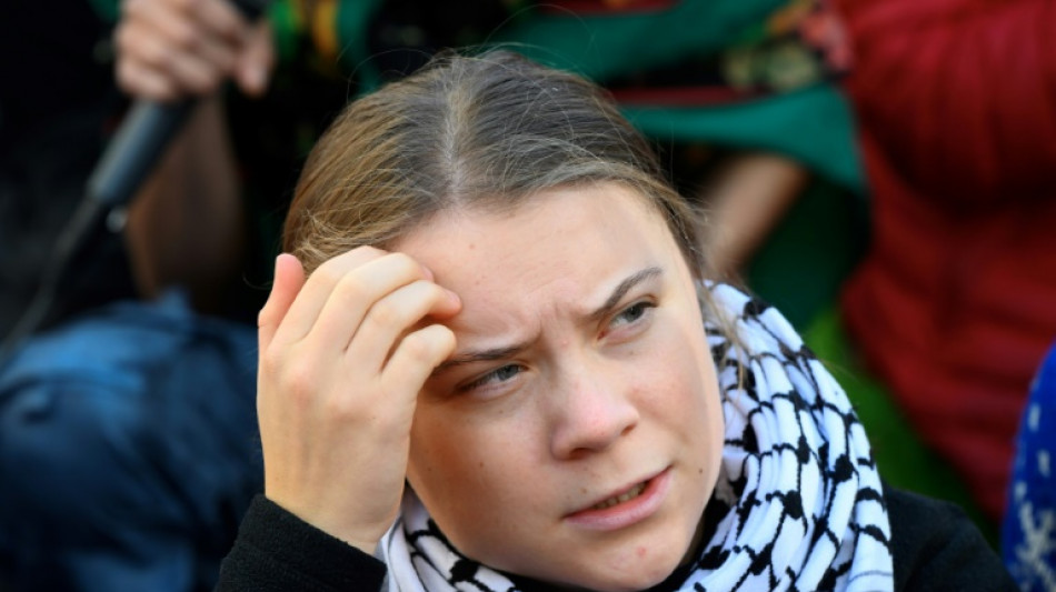 CDU-Politiker Throm verlangt Einreisesperre f&uuml;r Klimaaktivistin Thunberg
