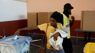 Namibie: dernier jour de vote &agrave; vive allure 
