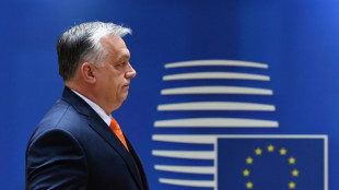 Ungarn &uuml;bernimmt turnusgem&auml;&szlig; den EU-Ratsvorsitz