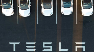 Protest gegen Tesla-Ausbau: Aktivisten besetzen Waldst&uuml;ck in Gr&uuml;nheide