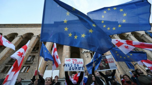 Gesetz zu "ausl&auml;ndischen M&auml;chten" in Georgien: Pr&uuml;gelei im Parlament und Demonstrationen