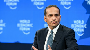 La presidenta interina de Venezuela recibe al primer ministro catar&iacute;