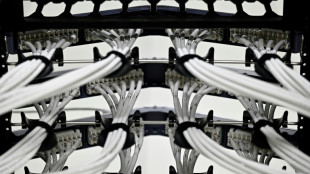 Kontrolle über die eignen Daten: Schwarz-Gruppe baut KI-Rechenzentrum im Spreewald