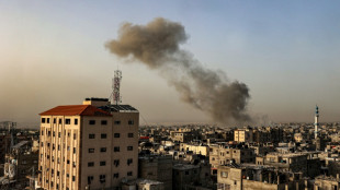 Frappes isra&eacute;liennes meurtri&egrave;res sur Gaza, combats autour d'h&ocirc;pitaux