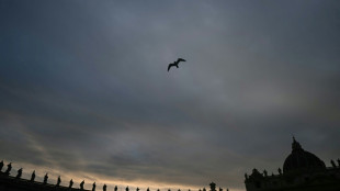 El Vaticano dice que no participar&aacute; en la "Junta de Paz" de Trump