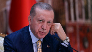 Erdogan: Kommunalwahlen Ende M&auml;rz werden "meine letzten Wahlen"